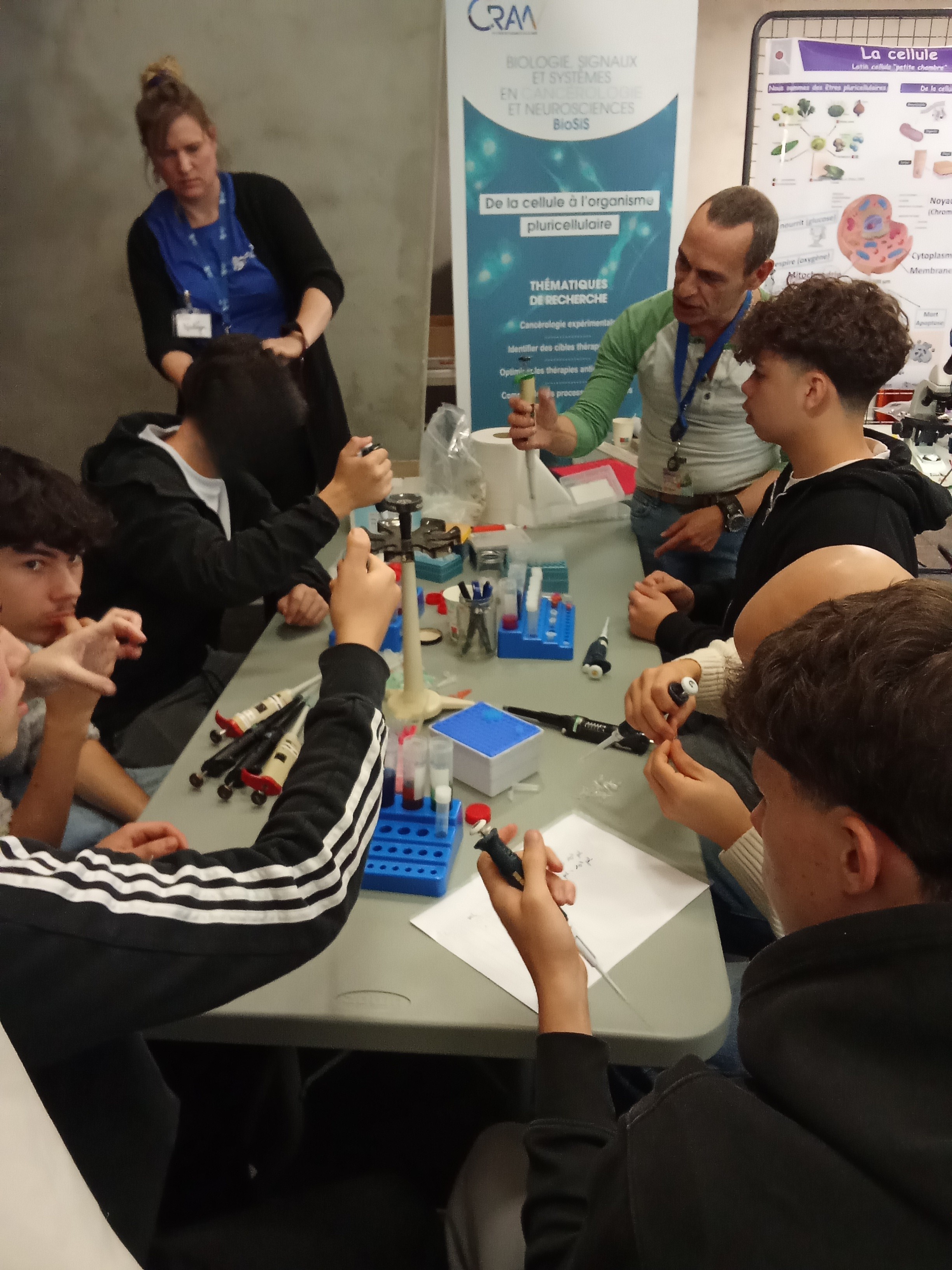 603774f3 5f0a 41f2 bb3d ac81f1f93639